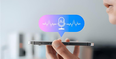 Voicebots